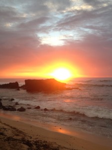 sunsetalligators1